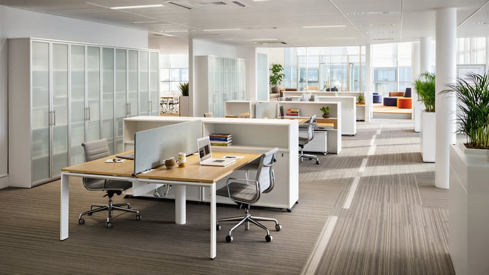 A bright, open-plan corporate office with white workstations, striped carpet, and floor-to-ceiling windows.
