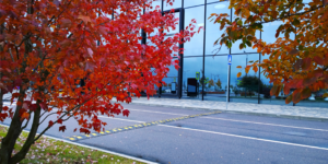 Office Cleaning Tips for Autumn Season